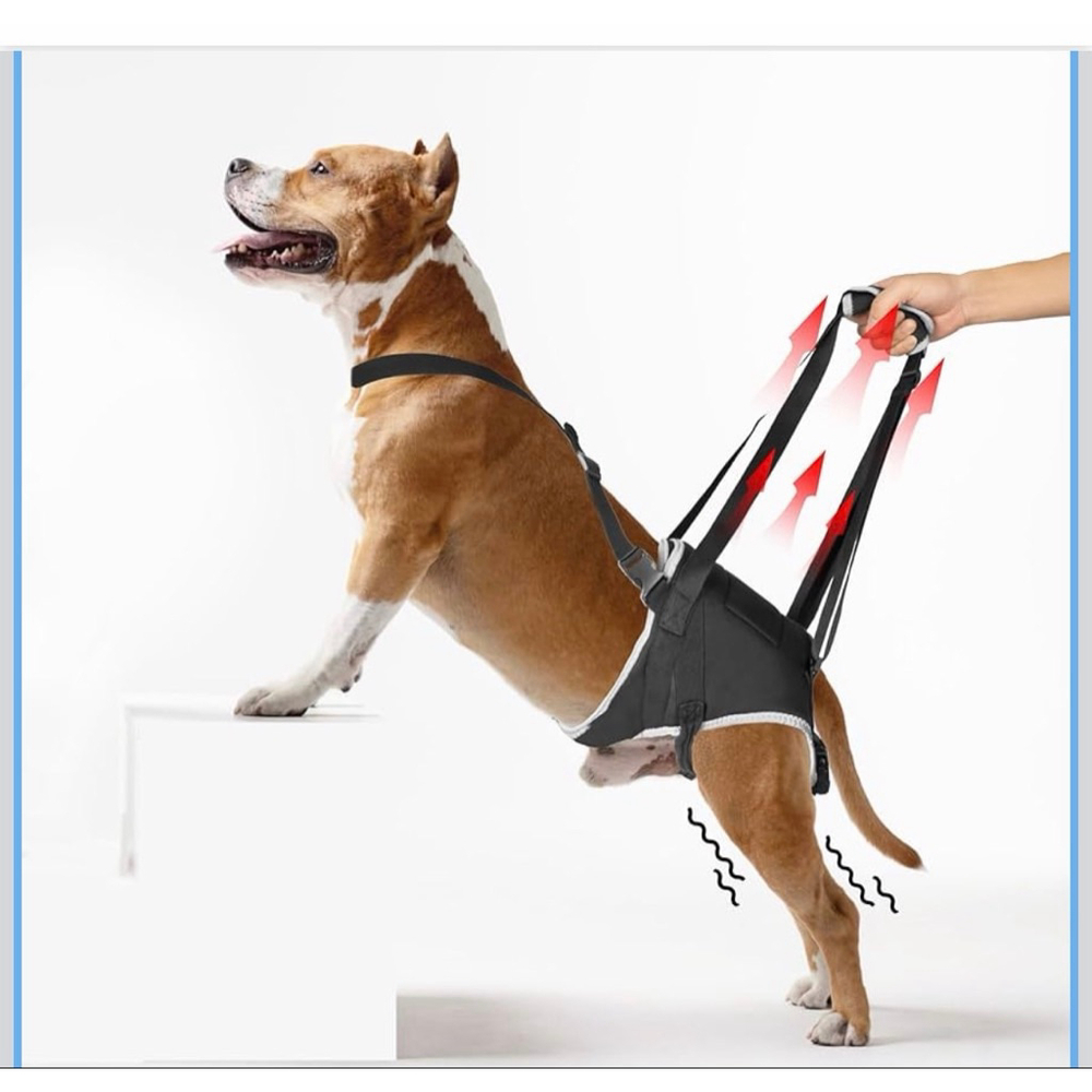 NEW Dog Lift Harness Post Surgery Support Senior Dogs L